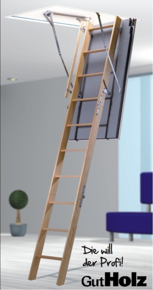 Bodentreppe GutHolz mit Zusatzausstattungen WärmeSchutz 3D und Handlauf von Wellhöfer Bodentreppe GutHolz mit Zusatzausstattungen WärmeSchutz 3D und Handlauf von Wellhöfer